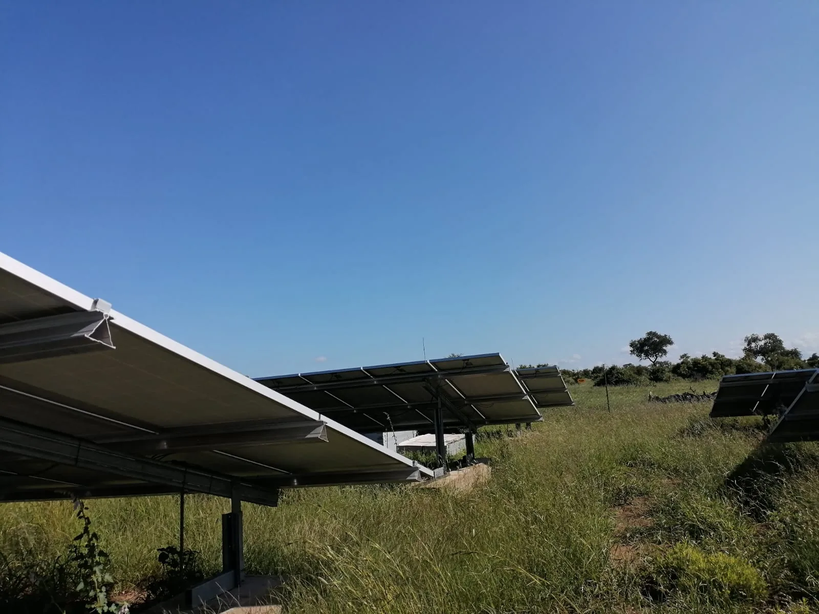 Ground-mounted solar